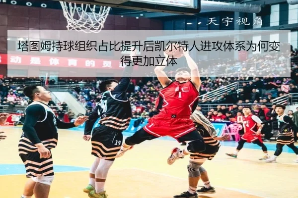 塔图姆持球组织占比提升后凯尔特人进攻体系为何变得更加立体